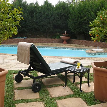 Casablanca Bed And Breakfast 스텔렌보스 외부 사진